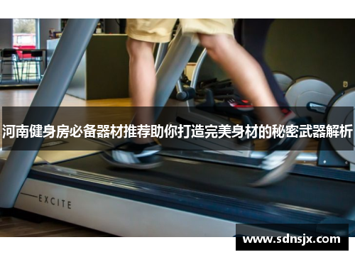 河南健身房必备器材推荐助你打造完美身材的秘密武器解析