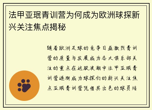 法甲亚珉青训营为何成为欧洲球探新兴关注焦点揭秘