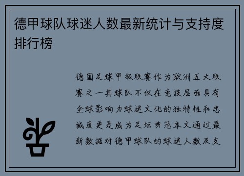 德甲球队球迷人数最新统计与支持度排行榜