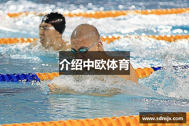 介绍中欧体育